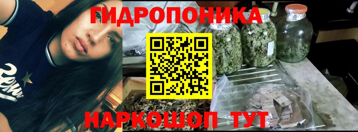 Марихуана VHQ  Бошки марихуана VHQ  Вход с VPN  Шишки марихуана конопля  Краснодар  Конопля MAZAR 